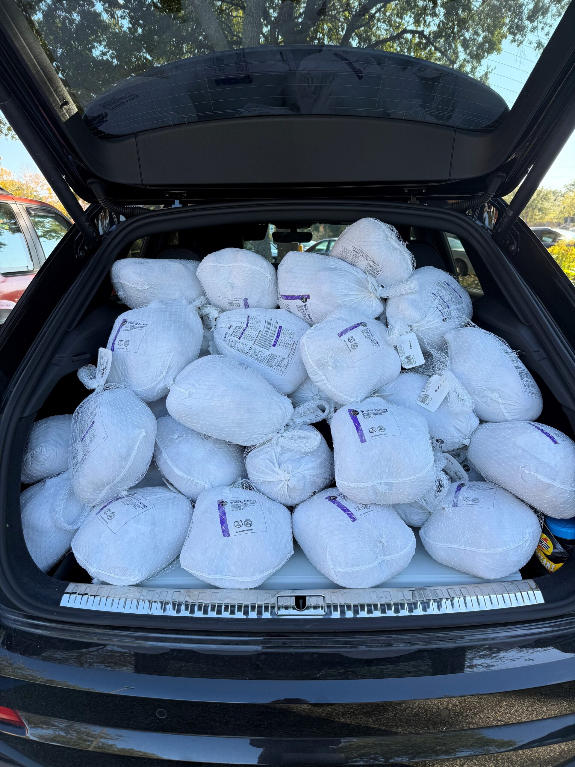 Holiday Give Back: Holiday Volunteer Event with the Lowcountry Food Bank